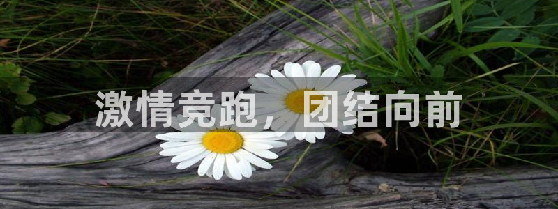 米兰体育官方平台体育:激情竞跑,团结向前